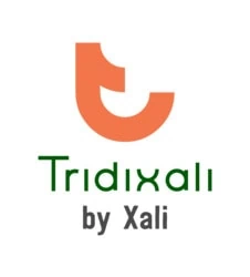 Logotipo de Tridixali.com